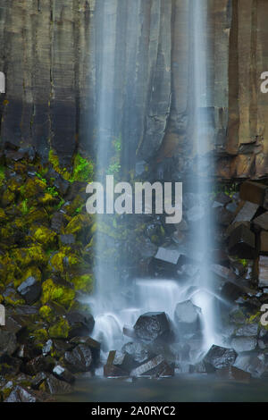 Cascada Svartifoss, Parque Nacional Skaftafell, Islandia Foto Stock