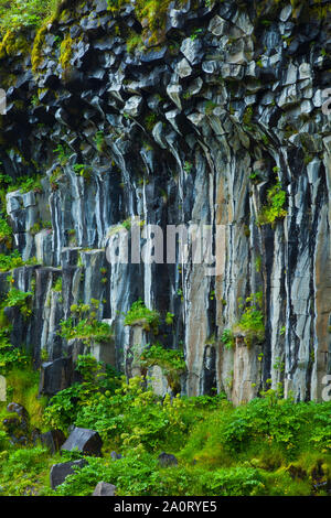 Cascada Svartifoss, Parque Nacional Skaftafell, Islandia Foto Stock