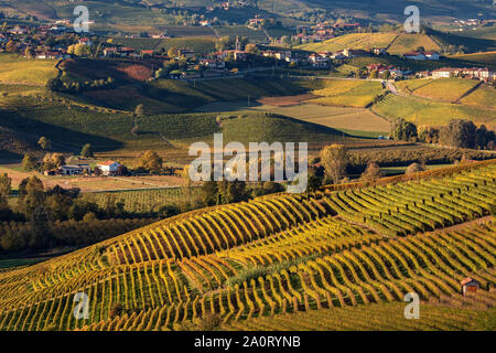 Colorate vigneti crescono sulle colline delle Langhe in Piemonte, Italia settentrionale. Foto Stock