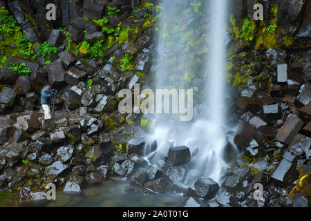 Cascada Svartifoss, Parque Nacional Skaftafell, Islandia Foto Stock