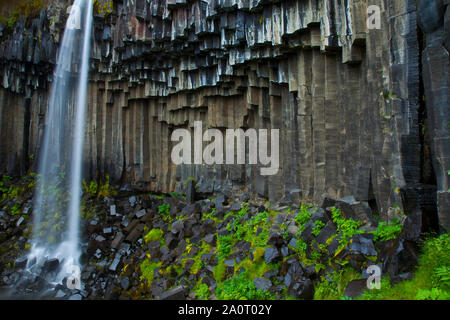 Cascada Svartifoss, Parque Nacional Skaftafell, Islandia Foto Stock