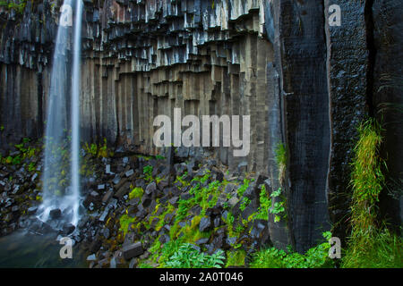 Cascada Svartifoss, Parque Nacional Skaftafell, Islandia Foto Stock