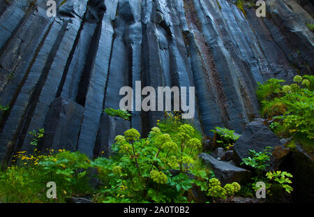 Cascada Svartifoss, Parque Nacional Skaftafell, Islandia Foto Stock