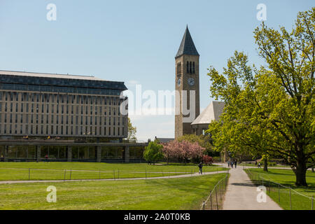 Cornell University di Ithaca New York Foto Stock