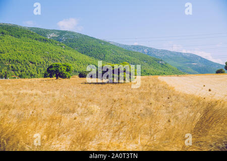 Repubblica greca. Campi e montagne, erba e alberi. In lontananza le montagne e il cielo. 13. Sett. 2019. Foto Stock