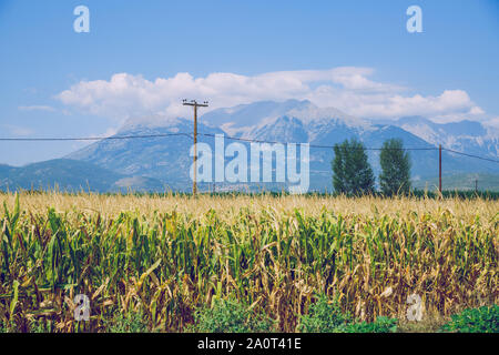 Repubblica greca. Campi e montagne, erba e alberi. In lontananza le montagne e il cielo. 13. Sett. 2019. Foto Stock