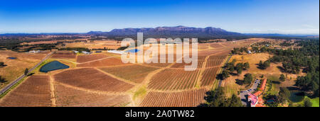 Le patch dei vigneti coltivati nella Hunter Valley Wine rendendo regione del NSW, Australia, in antenna elevata panorama su cantina Poderi verso distante Foto Stock