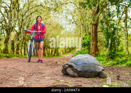 Le Galapagos La tartaruga gigante e la donna cicloturismo in bici sull isola di Santa Cruz su isole Galapagos. Gli animali, la natura e la fauna selvatica video di tartaruga in highlands delle Galapagos, Ecuador, Sud America. Foto Stock