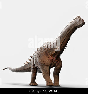 Illustrazione Alamosaurus contro un solido sfondo bianco Foto Stock