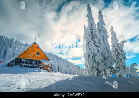 La più famosa stazione sciistica invernale in Romania. Stordimento e turistico vacanza invernale. Snowy pini dopo la bufera di neve in Poiana Brasov ski resor Foto Stock