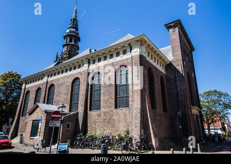 Nieuwe Kerk (Chiesa Nuova), Haarlem Foto Stock