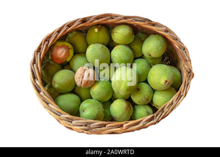 Le noci nel cesto su sfondo isolato. Dadi in verde bucce sono raccolti in tessuto di vimini. Autunno stagione del raccolto di concetto. Cibo sano e fonte delle nazioni unite Foto Stock