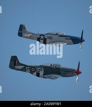 WW2 North American P-51D Mustang fighters in formazione flying display all'IWM Duxford 2019 Battaglia di Bretagna air show, Cambridgeshire, England, Regno Unito Foto Stock