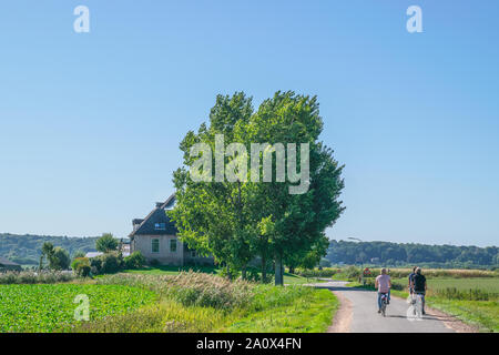 I ciclisti non identificato su una strada accanto a un polder olandesi prato paesaggio con un grande albero e una fattoria in background, tipico paesaggio Olandese scena Foto Stock