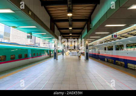 La stazione di Tokyo. Visualizza piattaforma di Tohoku E5 Shinkansen, bullet train, in corrispondenza della piattaforma 21 e 22 un double decker E4 MAX. La piattaforma ha solo due persone a. Foto Stock