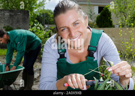 Una donna felice il taglio di una pianta Foto Stock