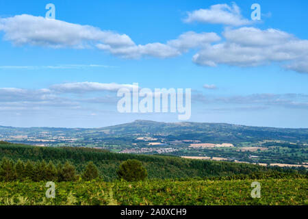 Guardando verso Titterstone Clee Hill dal vertice di alta Vinnals in Mortimer foresta, vicino a Ludlow, Shropshire Foto Stock