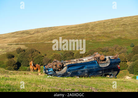 Irriconoscibile auto abbandonate sul suo tetto nella campagna gallese, Wales, Regno Unito Foto Stock