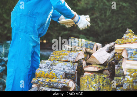 Uomo di legna da ardere di impilamento, preparazione per il riscaldamento della casa. La raccolta di legna da ardere in inverno o falò. Chi detiene la legna in mani . Foto Stock