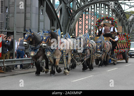 Traffico di cavalli e carri con cavalli a sangue freddo della birreria, trasporto di barili di birra. Sangue freddo imbrigliato. Foto Stock