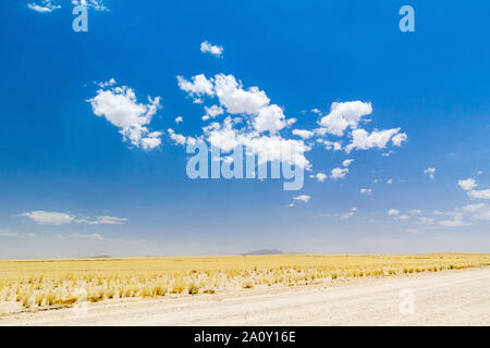 Infinite vastità di un dorato paesaggio di erba sotto un cielo blu, Namibia, Africa Foto Stock