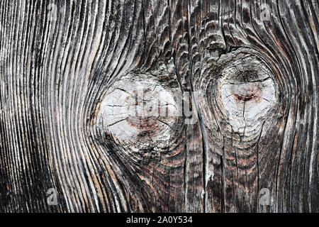 Vecchio tavolato in legno texture con nodi, sfondo naturale per il tuo design Foto Stock