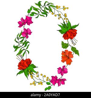 Vettore floreale tropicale Fiore botanica. Exotic Tropical hawaiian estate. Inchiostro inciso art. Bordo del frame ornamento quadrato su sfondo bianco. Illustrazione Vettoriale