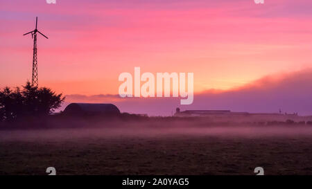 La mattina presto sunrise in una fattoria in Irlanda con bassa velatura in campi di th Foto Stock