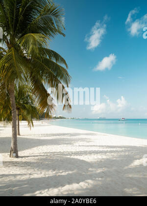 Seven Mile Beach sull'isola Grand Cayman, Caraibici Foto Stock