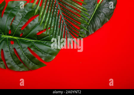 Verde fresco di foglie tropicali su sfondo rosso. Spazio vuoto per copiare, scritte, camera per il testo. Stile minimalista piatto poster laici modello di disegno. Foto Stock