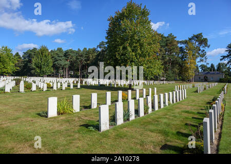 Righe di lapidi nella sezione canadese del cimitero militare di Brookwood cimitero di Pirbright, Woking, Surrey, Inghilterra sudorientale, REGNO UNITO Foto Stock