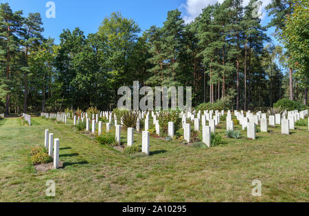 Righe di lapidi nella sezione canadese del cimitero militare di Brookwood cimitero di Pirbright, Woking, Surrey, Inghilterra sudorientale, REGNO UNITO Foto Stock