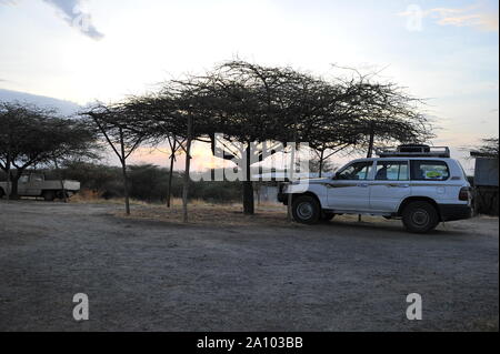 Alberi in Etiopia Foto Stock