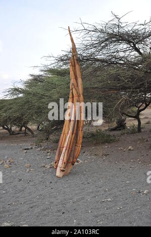Alberi in Etiopia Foto Stock