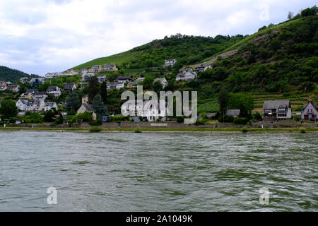 Vista della banca di fiume sul fiume Reno in Germania da un longboat Foto Stock