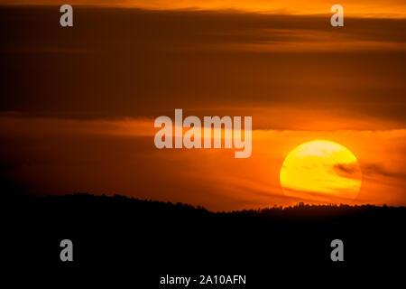 Vista la grande cerchio arancione del sole durante il tramonto in serata contro lo sfondo della foresta su colline e Cirrus nuvole Foto Stock