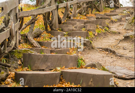 Vista delle scale di legno sulla montagna con i passi fatti di monconi da tronchi di alberi caduti con foglie di autunno e di erba verde Foto Stock
