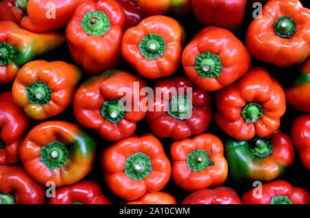 Peperoni rossi colombiani, peperoni rossi maturi freschi raccolti, in un mercato agricolo, Colombia Foto Stock
