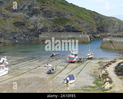 Bassa marea a Port Isaac, Cornwall Foto Stock