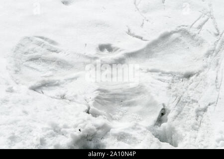 Sentiero sulla neve nella forma di un angelo di neve Foto Stock
