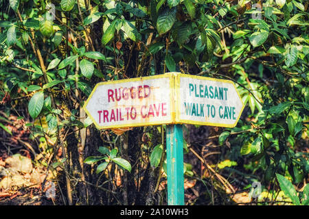 Segnavia a Grotta Arwah gorge, Cherrapunji, India. Foto Stock