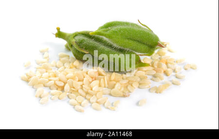 Sesamo cialde verde con sementi isolati su sfondo bianco Foto Stock