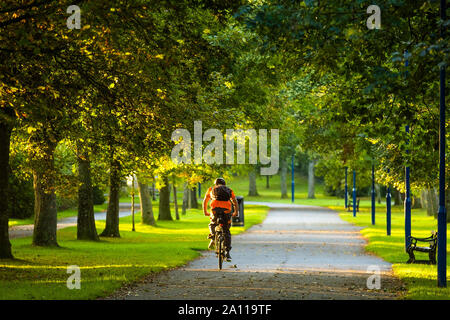 Aberystwyth, Wales, Regno Unito. 23 Settembre, 2019. Regno Unito Meteo: un uomo in bicicletta verso il basso Plascrug Avenue allo spuntar del giorno su una luminosa e soleggiata Equinox mattina, 23 settembre 2019, il primo giorno ufficiale di autunno nell emisfero nord. Oggi la lunghezza del giorno e notte sono roughy uguale. Photo credit: keith morris/Alamy Live News Foto Stock