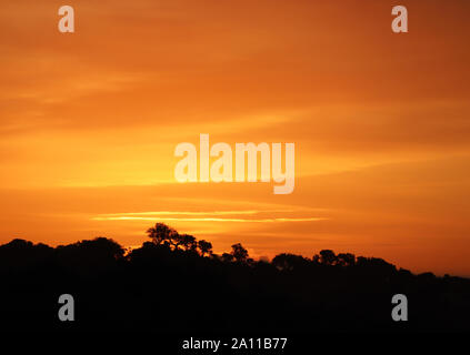 Sunrise in tutta l'Alentejo, guardando verso la Spagna. Le sagome di caratteristica di querce da sughero immersi nella luce del mattino. Foto Stock