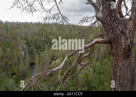 Lago Julma Ölkky Hossa nel Parco Nazionale, Finlandia Foto Stock