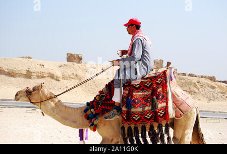 Il Cairo / Giza Egitto - 7 Maggio 2008 - il pilota del cammello nel deserto del Sahara. Bedouin e cammello vicino alle Piramidi. Foto Stock