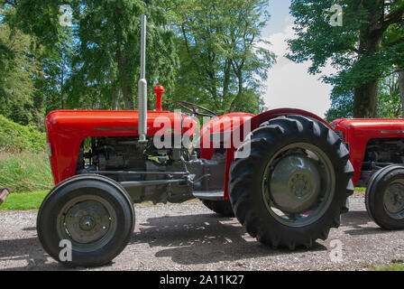 Immacolata 1963 grigio rosso Massey Ferguson 35X Modello trattore Isle of Bute Scozia Regno Unito passeggeri lato sinistro nearside view old luccicanti Foto Stock