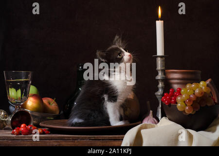 Ancora la vita di nero e di bianco gattino seduto in una lastra di argilla e guardando una candela che brucia su sfondo scuro Foto Stock