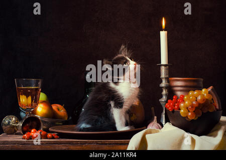 Ancora la vita di nero e di bianco gattino seduto in una lastra di argilla e guardando una candela che brucia su sfondo scuro Foto Stock