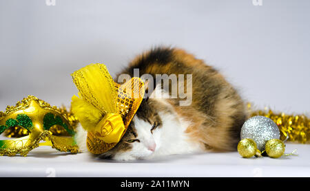Empio cat in un carnevale giallo hat con paillettes prua e una piuma accanto a una maschera e palle di Natale Foto Stock